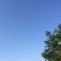 吐き出す私　5