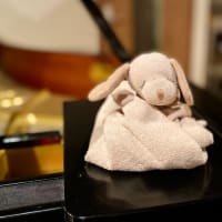 夜レッスンが好きな年長さん