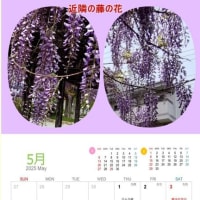 もう5月早いですね