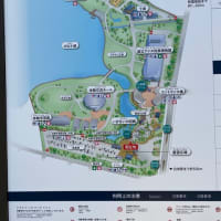 ウポポイに行ってみました！