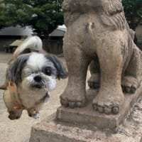 今日いち-2024年9月12日