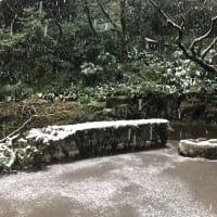 節分ご祈願祭を無事終えました。