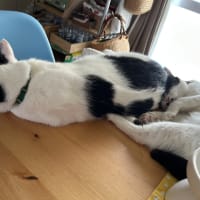 ブログお引っ越し完了しました。