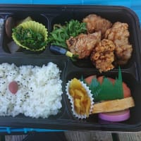 釣り納めは正徳丸さんでマダイ祭り