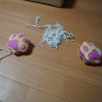 またまた 破壊されてしまったおもちゃ(-_-)