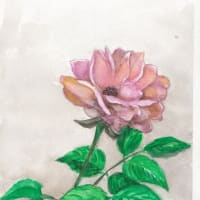 農業問題と農地法