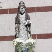 たまに行く赤塚山乗蓮寺の「東京大仏」！凛々しいお顔がたまりません！