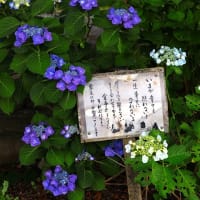 名言の寺