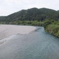 本日の海部川
