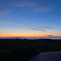 三宅島　その２