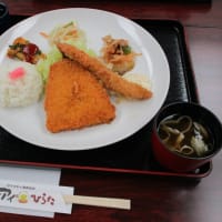 お花見に行ってきました！！
