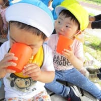 お散歩