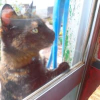 卒業します♪