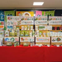 6月度の「静岡茶試飲販売会」開催中