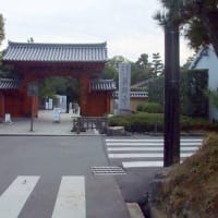 06/16奈良京都への旅-3（唐招提寺）