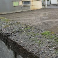 目覚めると雨。。。