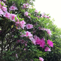 ホントにリスペクト🎵
