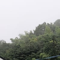 高龗神の言葉　　　　え、クルクル廻るの？