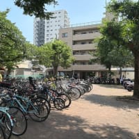 ベガ　アルタイル