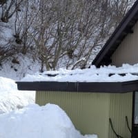 何をやっても