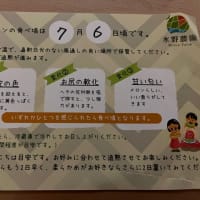 水野農園さんのメロン🍈が届きました〜！