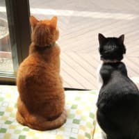 仲良くね
