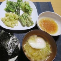 山菜天ぷら、炊屋食堂の田舎定食・・・腹八分目。