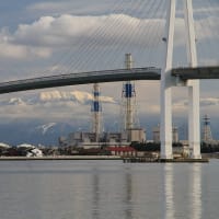 海王丸パークから新湊大橋