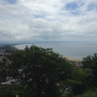 ジーコ牧場ありがとうございました♪