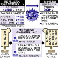 杉本達治・福井県知事が２０年間の延長を容認方針：関西電力・高浜原発３・４号機、運転４０年超へ