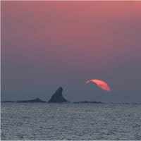 記事のタイトルを入力してください（必須）