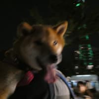 7月10日　山下公園で　ランタンが飛ぶ！？　横浜は観光地なのだ☆彡　更新しました～