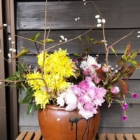 サトラボ：入口にあった生け花