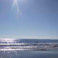 秋の海。