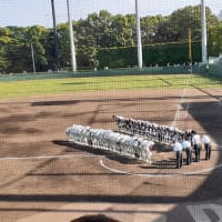 全国高校野球大会地区予選