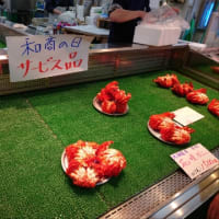 トウチャコ前に腹ごなし