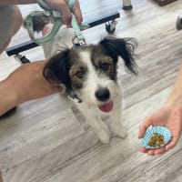 ココグルメの試食会を開催しました！③