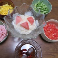 昼は「冷やしそうめん」