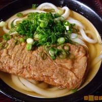 日本の食材板　　～　神保町、丸香のじゃこ天うどん