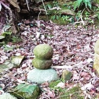  故郷の風景（４５）　笠取りの墓