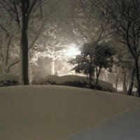 遅ればせながら…大雪