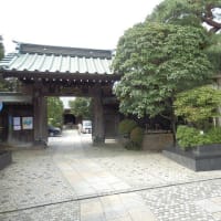 白狐　コンと出そうな　稲荷かな（雪塚稲荷神社）