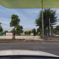 久し振りの　投稿で　テスト