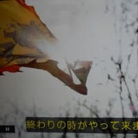 空旅中国「明の長城」より