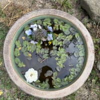 危険はどこにもひそんでいる