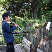 公園のミュージシャン