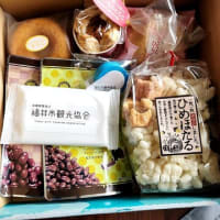福井の まちなか グルメ 当選しました