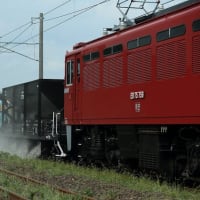 惰性な2263日目　75祭り