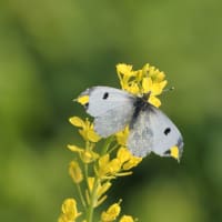 ありがとうございました！