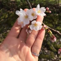 目指せトリリンガルなかばの子